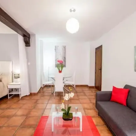 Apartamento Pavaneras En Pleno Centro De Granada