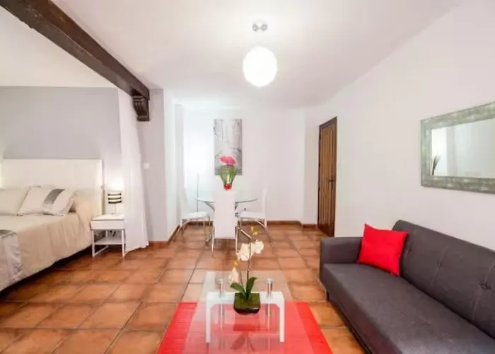 Apartamento Pavaneras En Pleno Centro De Granada